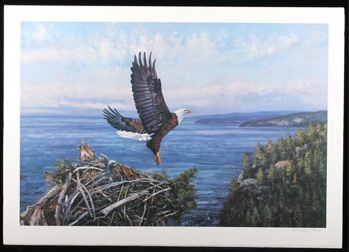 William Bailey Eagle With Eaglet Limited Ed Print