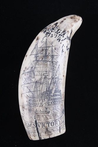 Whale Tooth Horatio Nelson & HMS Victory Scrimshaw