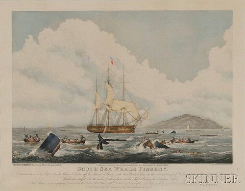 T. Sutherland, Engraver, After William J. Huggins (English, 1781-1845)       South Seas Whale Fishery