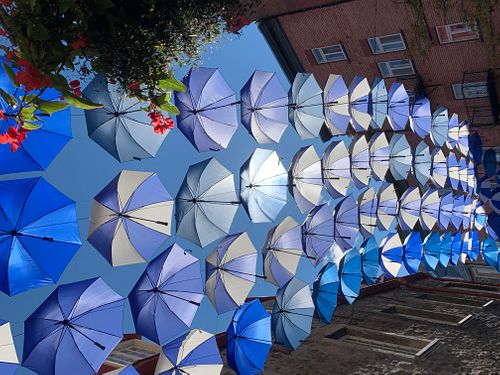 DIANE BERTSCH, Blue Umbrellas