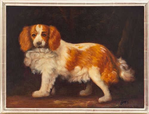 Signed Portrait of a Spaniel Oil on Canvas