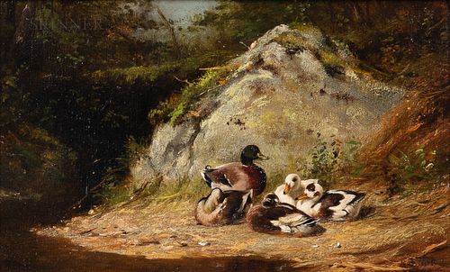 Arthur Fitzwilliam Tait (American, 1819-1905), Ducks Sunning