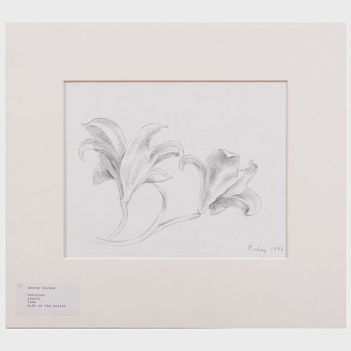 George Rickey (1907-2002): Floral Study