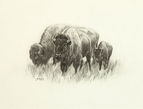 George B. Marks, Untitled (Buffalo Family), 1978