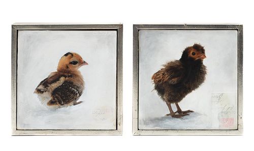 ANDE COOK, 2PC BABY BIRDS M/M & OIL ON CANVAS