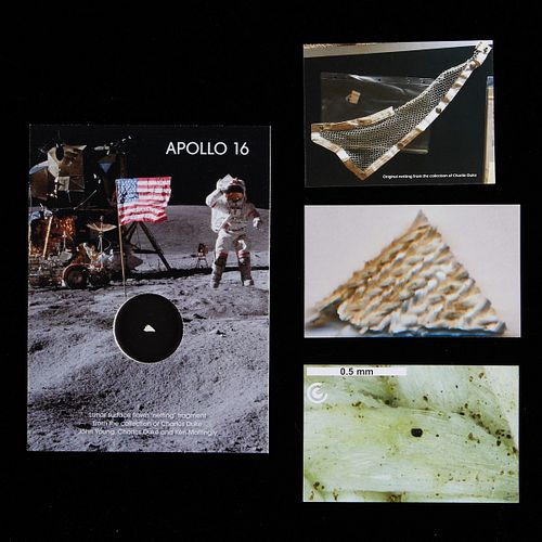NASA Apollo 16 Netting Fragment Charlie Duke