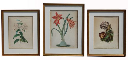 (3) Lefer Botanical Watercolors