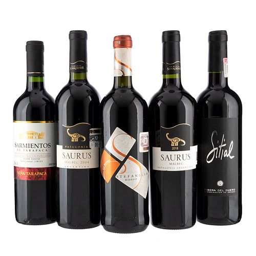 Lote de Vinos Tintos de Italia, Chile y Argentina. Stefanello Rosso. Sitial. En presentaciones de 750 ml. Total de piezas: 5.