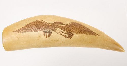 Robert Spring - Scrimshaw Tooth with Eagle