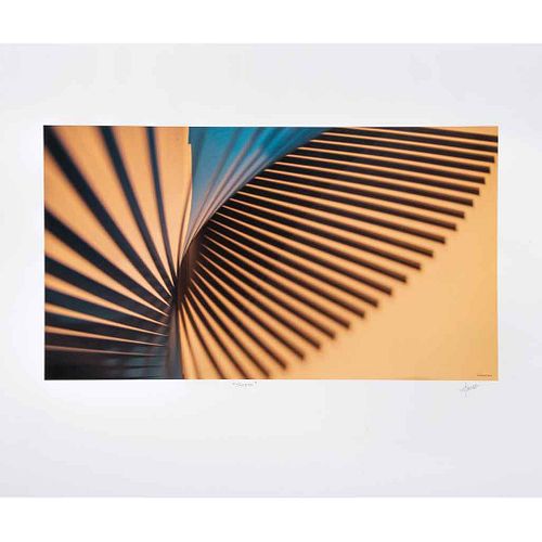 FABIOLA TANUS, Sinfin, Firmada Impresión digital s/n, 28 x 49 cm imagen