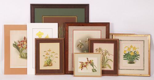 A Group of Botanical Prints etc.
