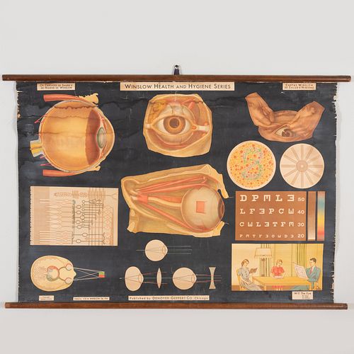 20th Century School: American Frohse Anatomical Charts: The Digestive System; Winslow Health and Hygiene Series: The Nervous System; and The Eye