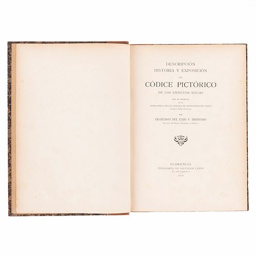 Paso y Troncoso, Francisco del. Códice del Palais Bourbon de Paris. Florencia, 1898.