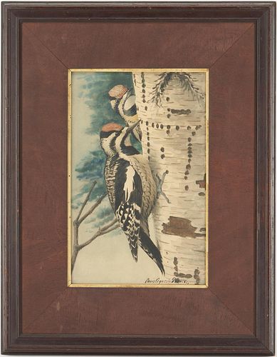 Louis Fuertes Watercolor Painting, Woodpeckers