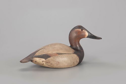 1936 Canvasback Hen Decoy, The Ward Brothers