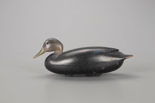 Black Duck Decoy, Joseph S. King (1905-1992)