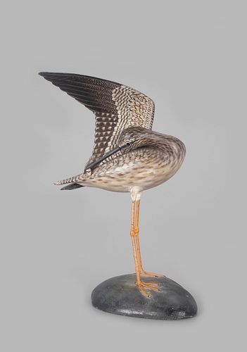 Wing-Up Greater Yellowlegs, A. Elmer Crowell (1862-1952)