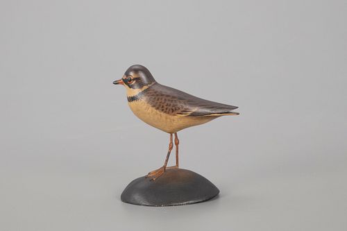 Semipalmated Plover, A. Elmer Crowell (1862-1952)