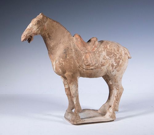 CHINESE TANG DYNASTY POTTERY HORSE