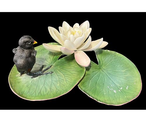 ROYAL WORCESTER MOORHEN CHICK GALLINULA & LILY