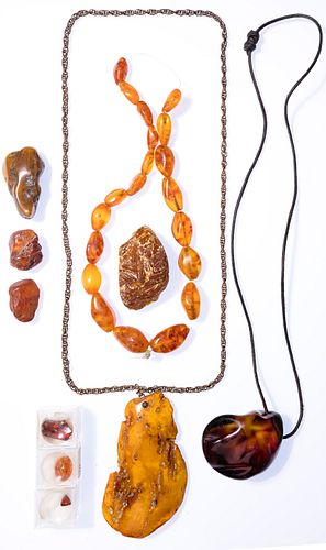 Carved and Raw Amber Assortment