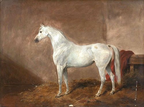 PORTRAIT OF A WHITE ARABIAN HORSE OIL PAINTING
