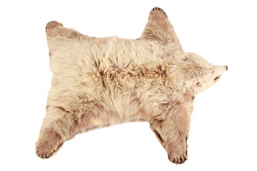 Alaskan Kodiak Brown Bear Trophy Full Rug