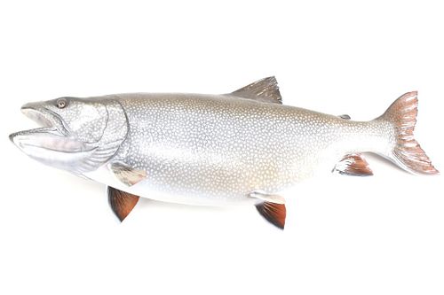 Alaskan King Salmon Full Body Taxidermy Wall Mount