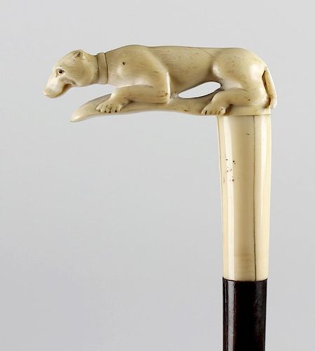 An early 19th century gentleman's walking cane, the ivory handle carved with a hound, 32.25” (82cm)