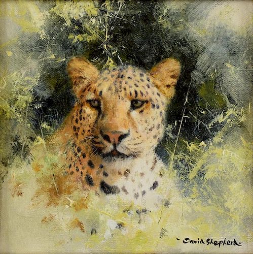 § David Shepherd b.1931, leopard in the grass, signed, oil on canvas, 14.5cm x 14.5cm,PROVENANCE: En