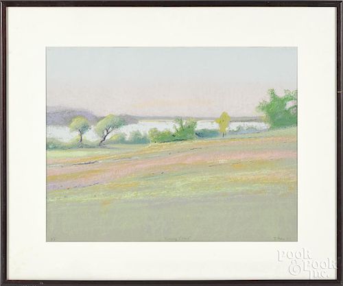 Larry D'Amico (American 20th/21st c.), silkscreen, titled Evening Glow, artist's proof, signed