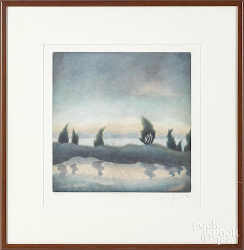 Nicolette Jelen (American 20th/21st c.), etching, titled Evening Sky, signed lower right