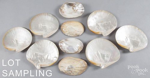 Nine abalone shell bowls, approximately 7 1/4'' h., 8'' dia., together with six other shell bowls