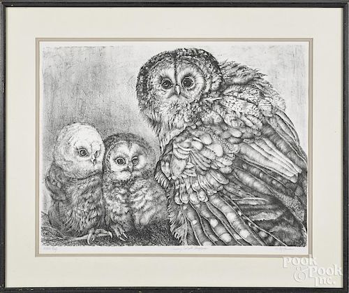 Engraving, titled Tawny Owl with Fledglings, signed McGinnis, 17 3/4'' x 23 1/4''.