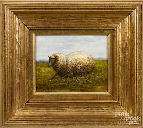 Contemporary oil on canvas of a sheep, 8'' x 10''.