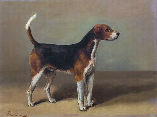 FOXHOUND DOG OIL PAINTING