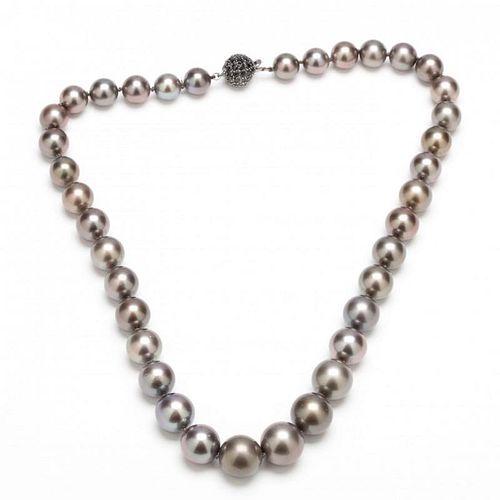 Tahitian Pearl and Sapphire Necklace