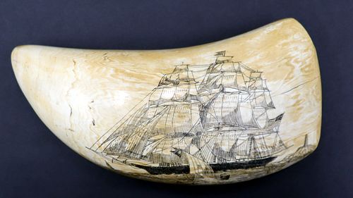 Antique Signed Sperm Whale Tooth Scrimshaw.