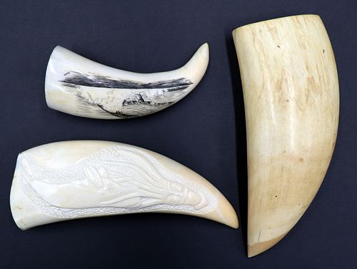 (3) Pc. Scrimshaw and Sperm Whale Teeth.