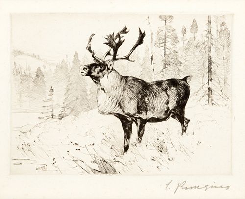 Carl Rungius (1869–1959) — A Woodland Stag