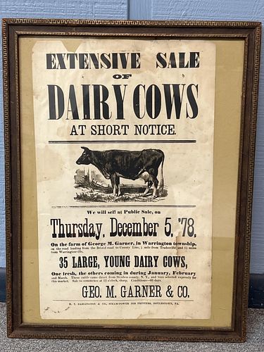 Cow Auction Advertisment