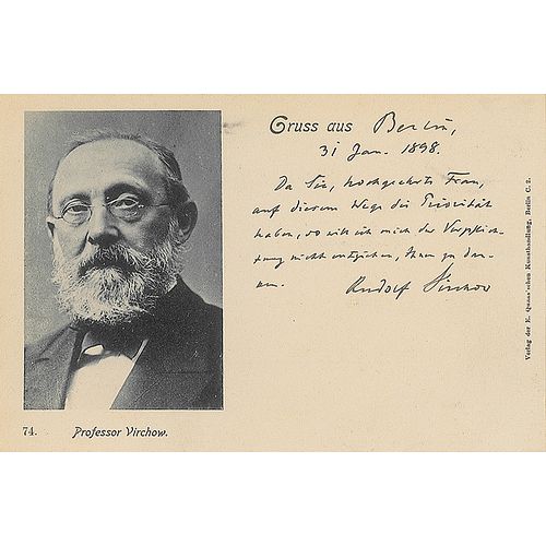 Rudolf Virchow Autograph Letter Signed