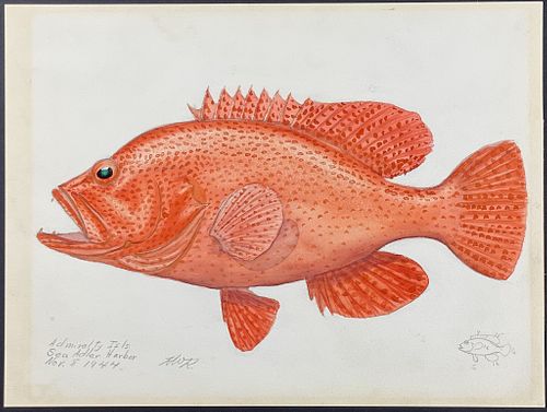 Kenyon, Original Watercolor - Fish, Found at Admiralty Isels, Sea Adler Harbor, November 1944