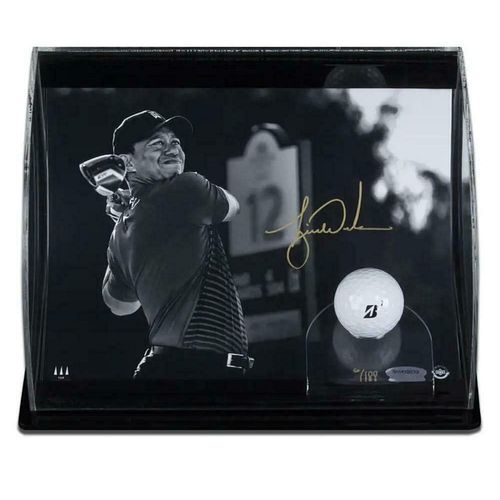 TIGER WOODS SIGNED "Gold Drive" Photo & Ball in Curve Display UDA LE 100