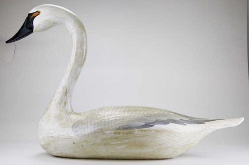 Chesepeake Bay carved wooden swan decoy, length 36”, ht 22”