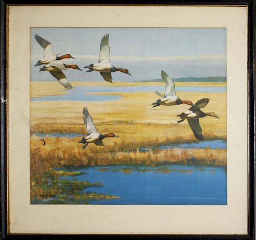 Set of 3 Richard Bishop colored duck prints. 13"x11", 17"x19" framed.