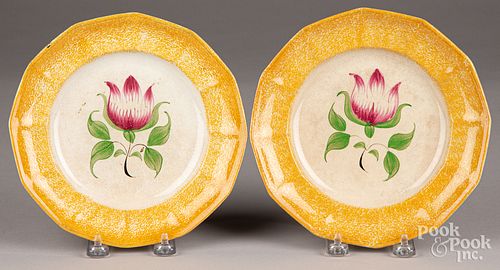 Two yellow spatter tulip plates