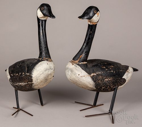 Two Canada goose field decoys, early 20th c.