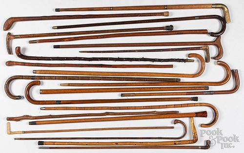 Collection of twenty-one canes and walking sticks