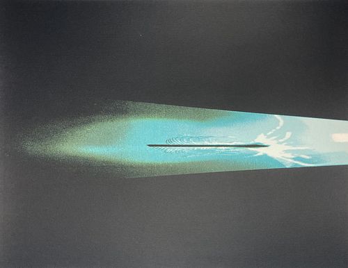 Cornelia Parker - A Feather from Freud's Pillow